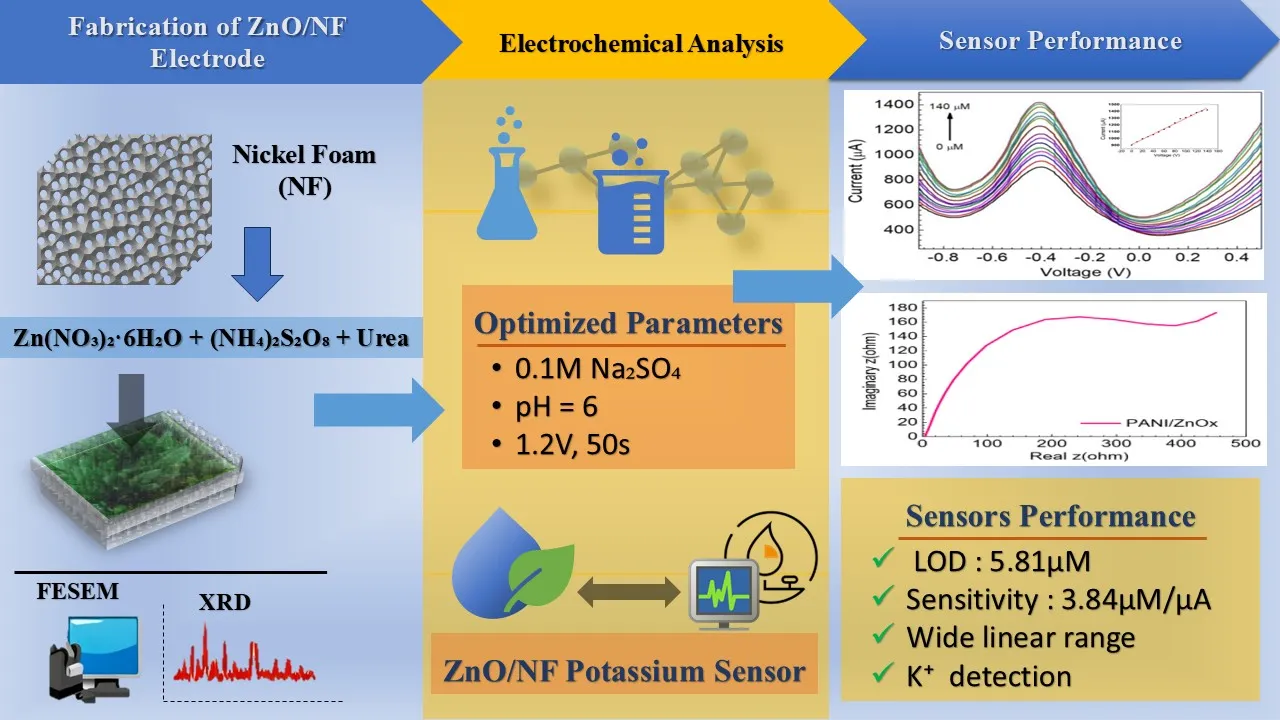 A Sensitive Electrochemical Sensor Based on Nanostructured Zinc Oxide ...